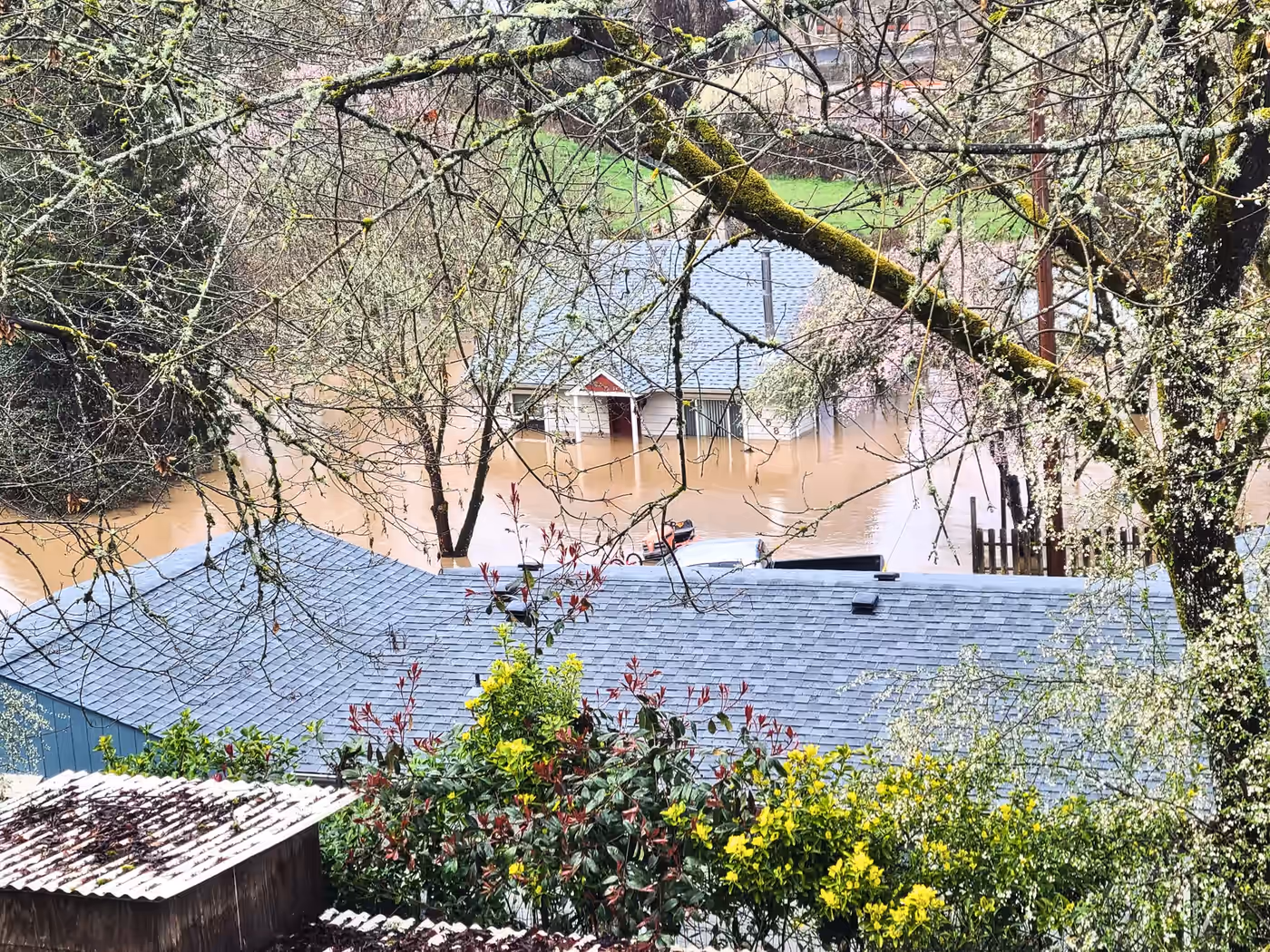 Flood Risk and Your Home: Reading the FEMA Maps in Douglas County