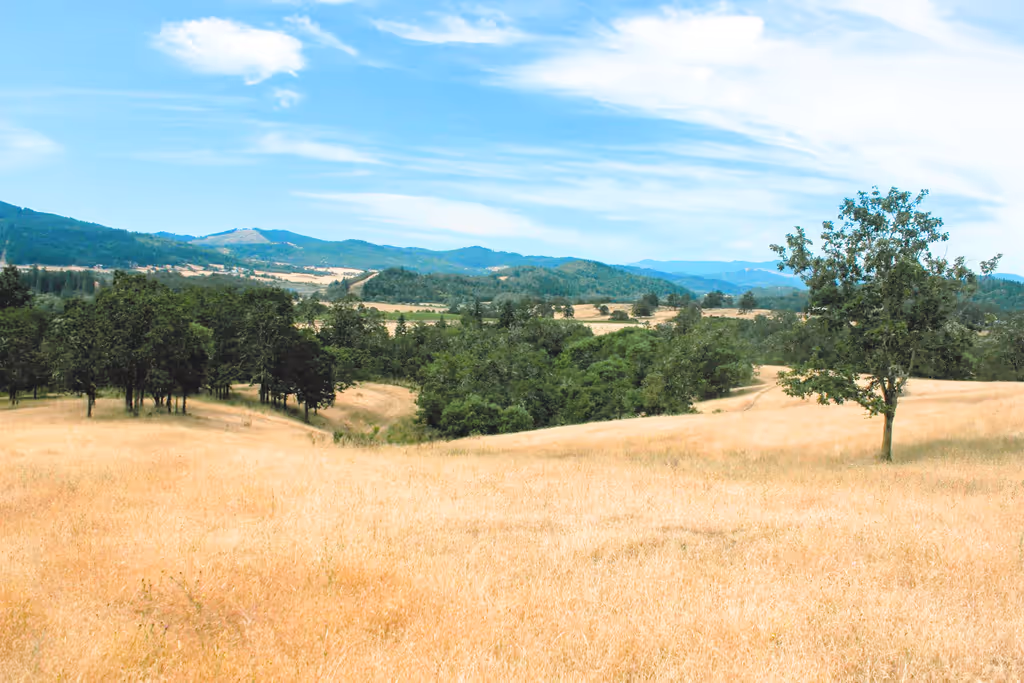 Days on Market in Roseburg: More Time to Decide
