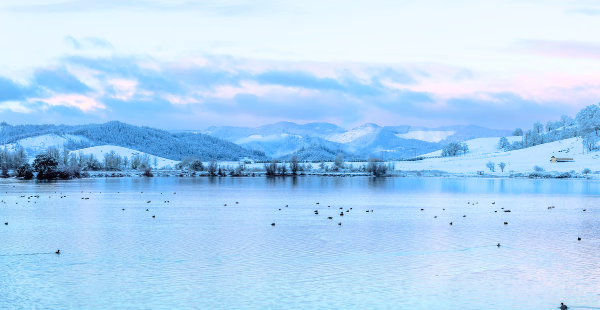 Counting the Cost: The Counterintuitive Results of Incorrect Pricing