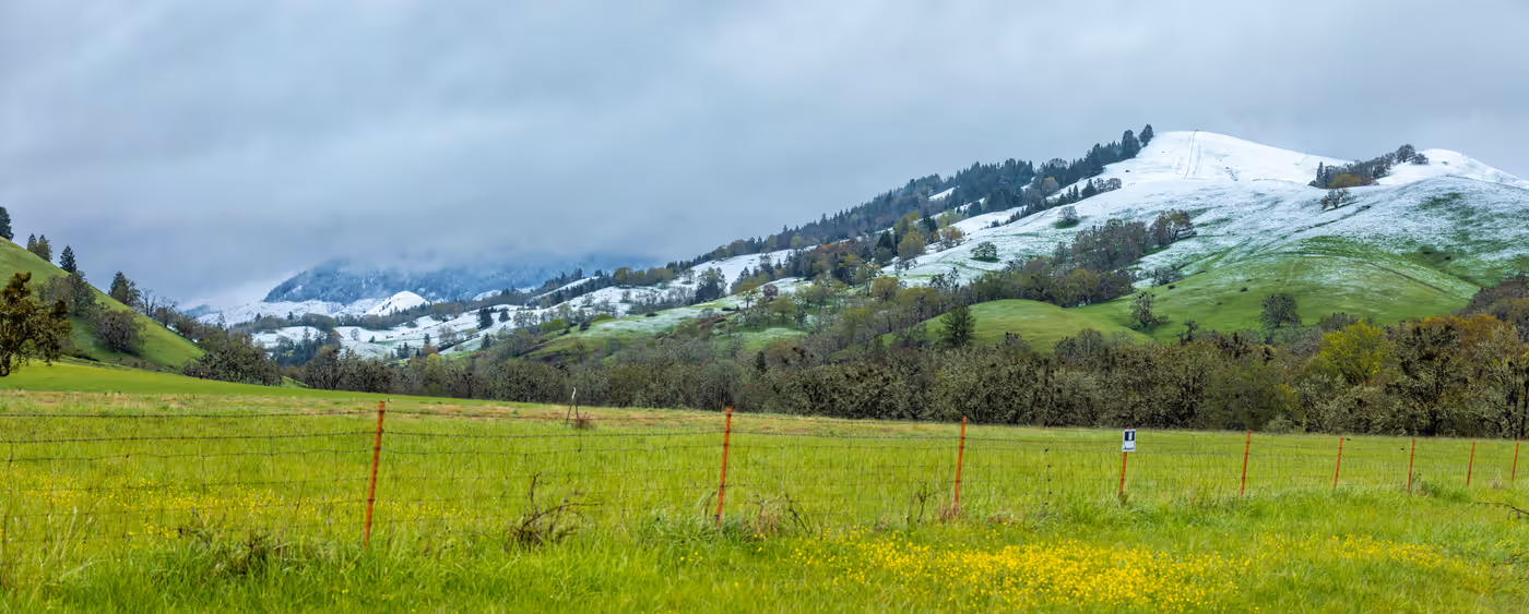 The Roseburg Seller’s Guide: 13 Steps from Listing to Closing