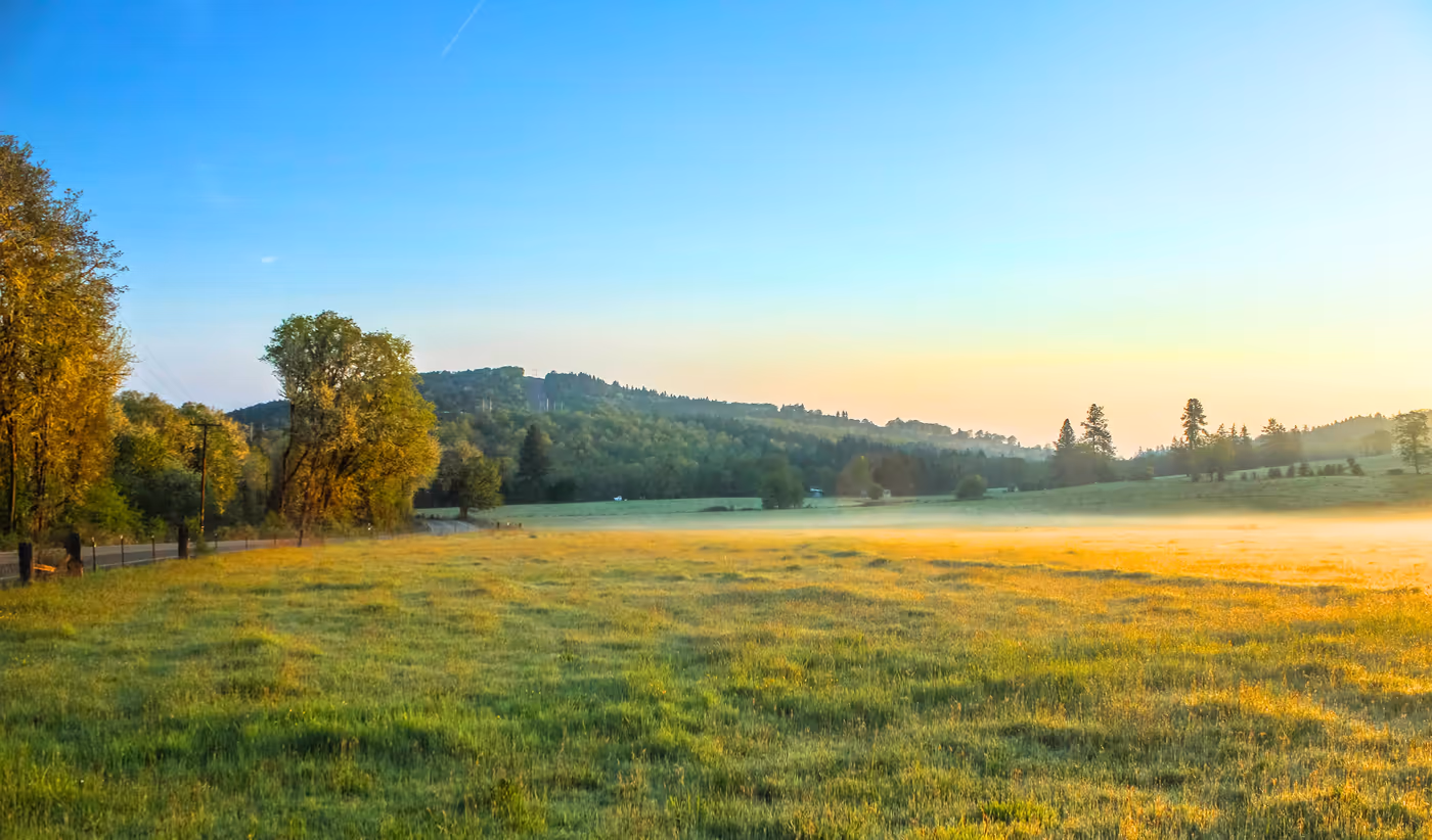 A Year-Round Home Maintenance Checklist for Roseburg Owners