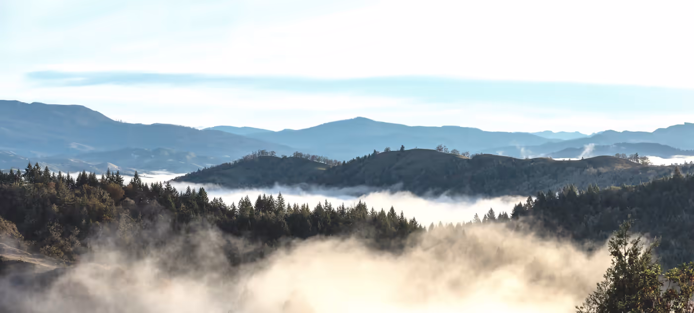 Morning fog over the valley at Roseburg, Oregon — Aaron Cherry, REALTOR in Roseburg, Oregon