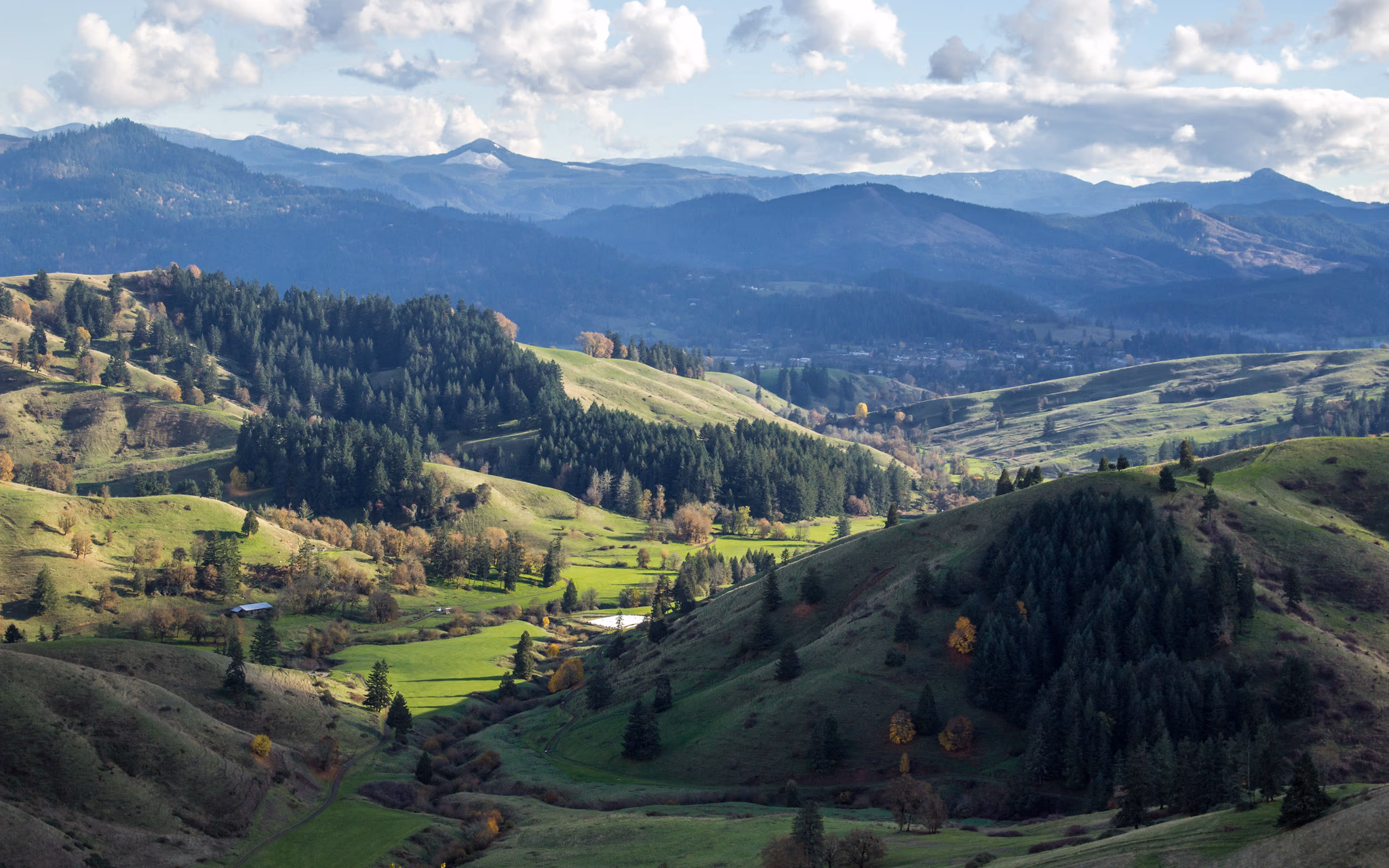 Autumn aspens and mountain views in Glide, Oregon — Cascade foothills, Douglas County