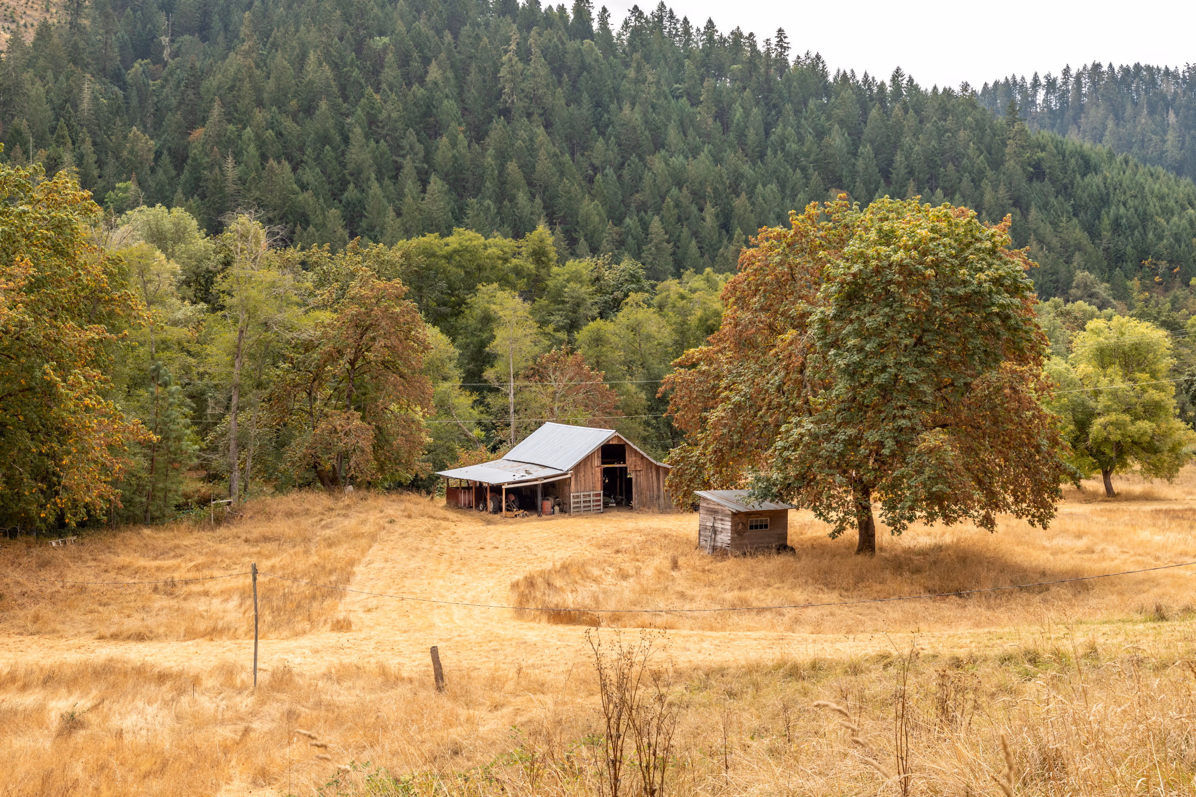 Farmhouse with turquoise metal roof in pastoral setting near Oakland, Oregon — Douglas County rural living